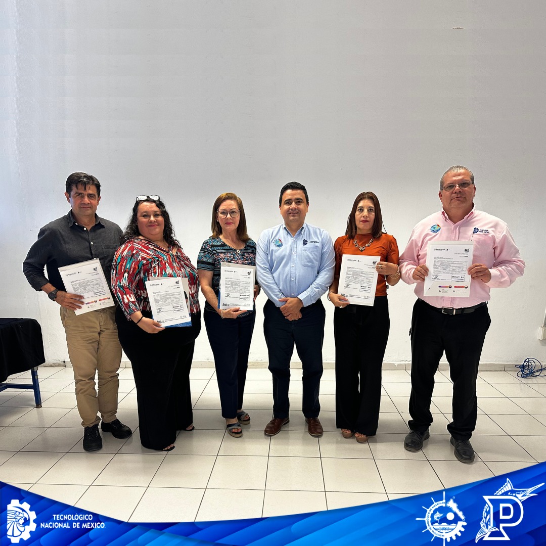 PROYECTOS DE INVESTIGACIÓN TECNM/IT MAZATLÁN 2025